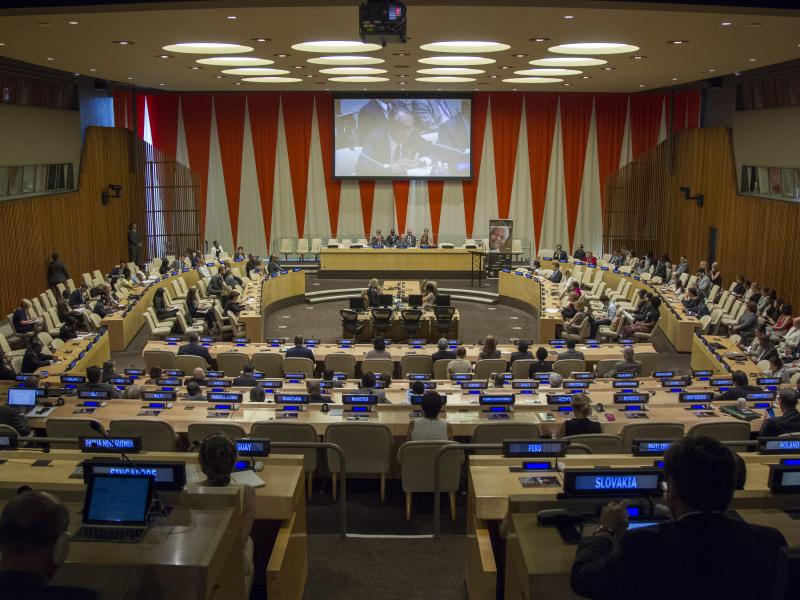 Salle de réunion de l'ONU. Photo Droits tiers