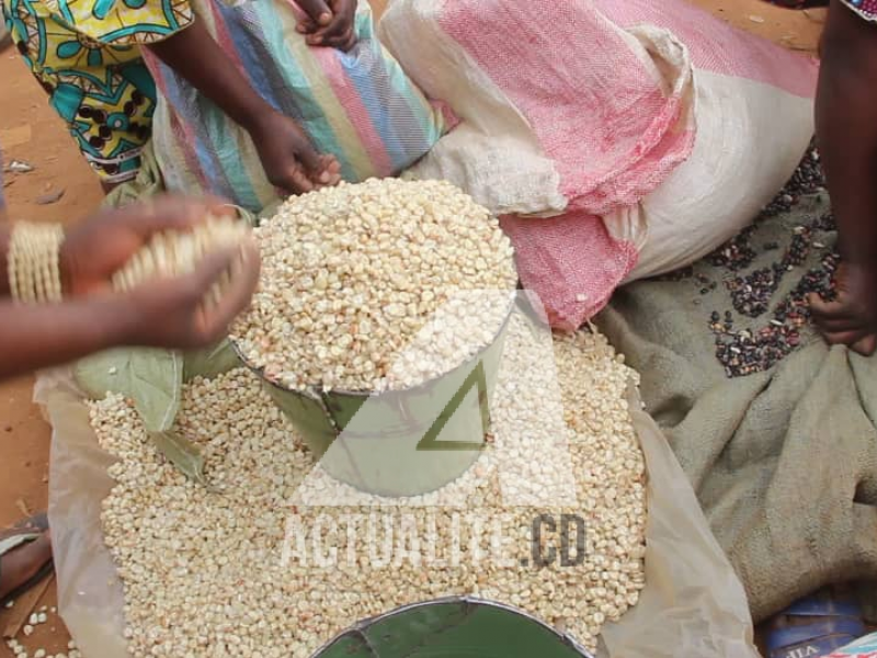  Les vendeuses des céréales à Butembo/Ph ACTUALITE.CD 