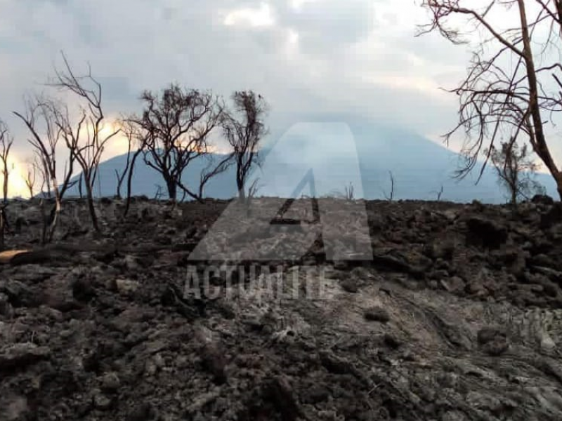 Une partie du parc des Virunga ravagée par la lave dans le territoire de Nyiragongo/Ph ACTUALITE.CD 