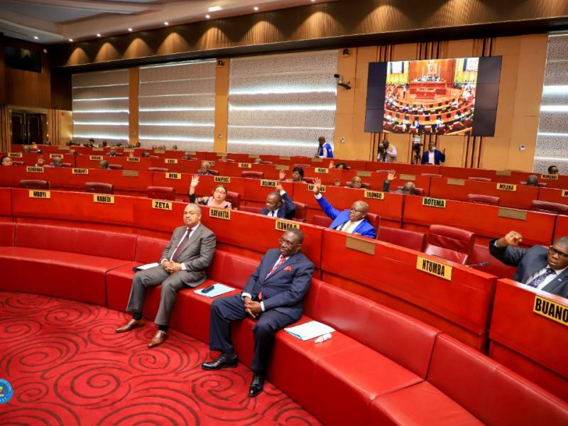 Les sénateurs Samy Badibanga Ntita et Louis Mbonga Magalu