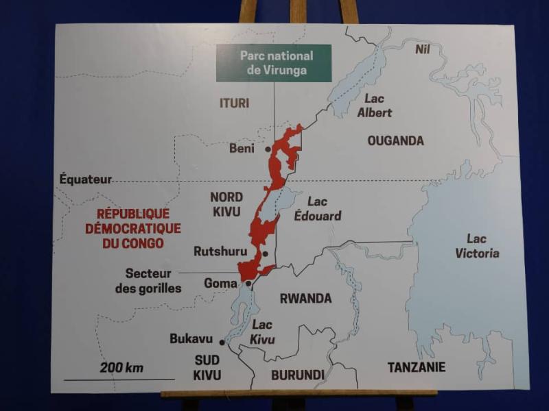 Parc national des virunga visuel