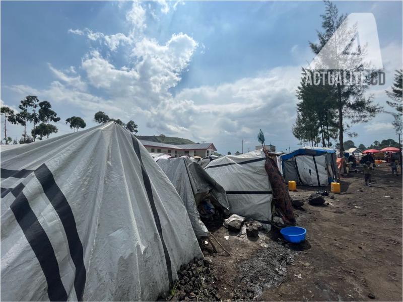 Déplacés de Kanyaruchinya, à proximité de Goma. Photo/ACTUALITE.CD