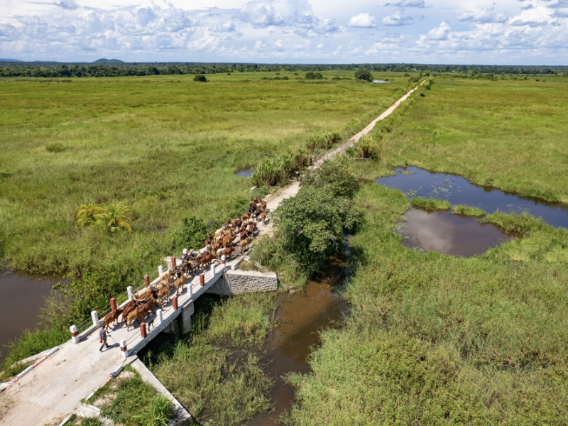 Le pont de Lwizi, récemment reconstruit dans le Tanganyika, en RDC, relie les territoires de Kabalo, Nyunzu et Kalemie. Photo : PAM/Michael Castofas