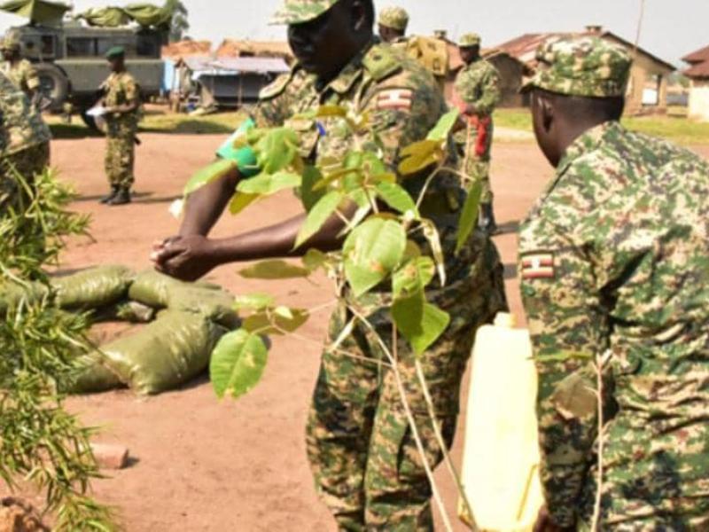 Les soldats de l'UPDF en RDC