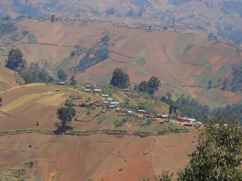un paysage agricole dans les hautes terre de Luutu, en territoire de Beni, à une trentaine de Km de Butembo  ©Hervé Mukulu)