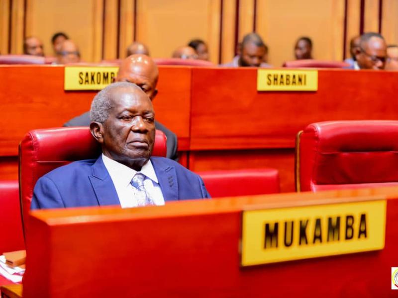 Le sénateur Jonas Mukamba