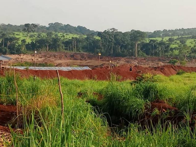 Site d'exploitation semi-industrielle de l'or par des chinois