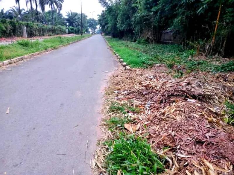 Une route asphaltée à Mbuji-Mayi 