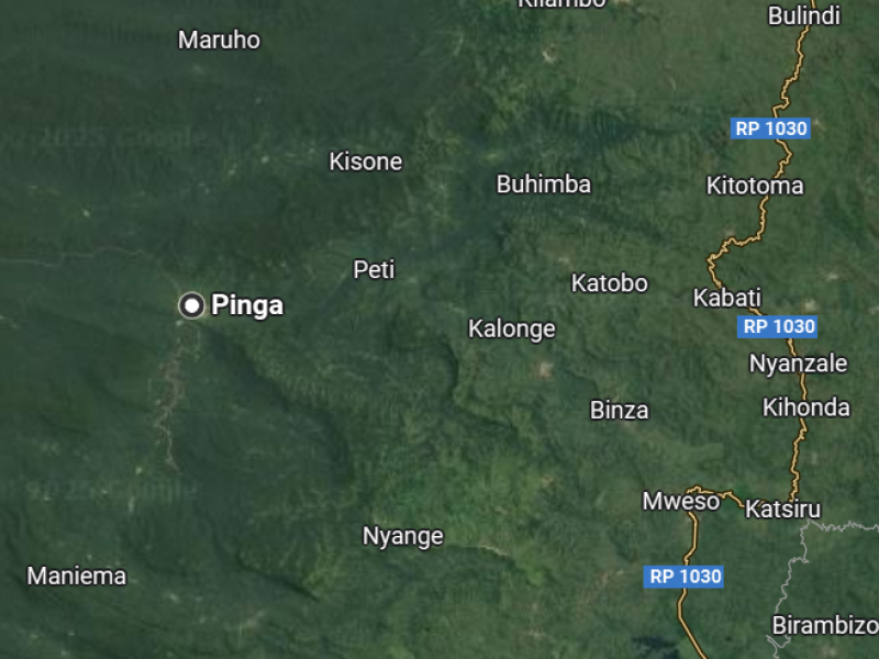 Pinga sur la carte du Nord-Kivu