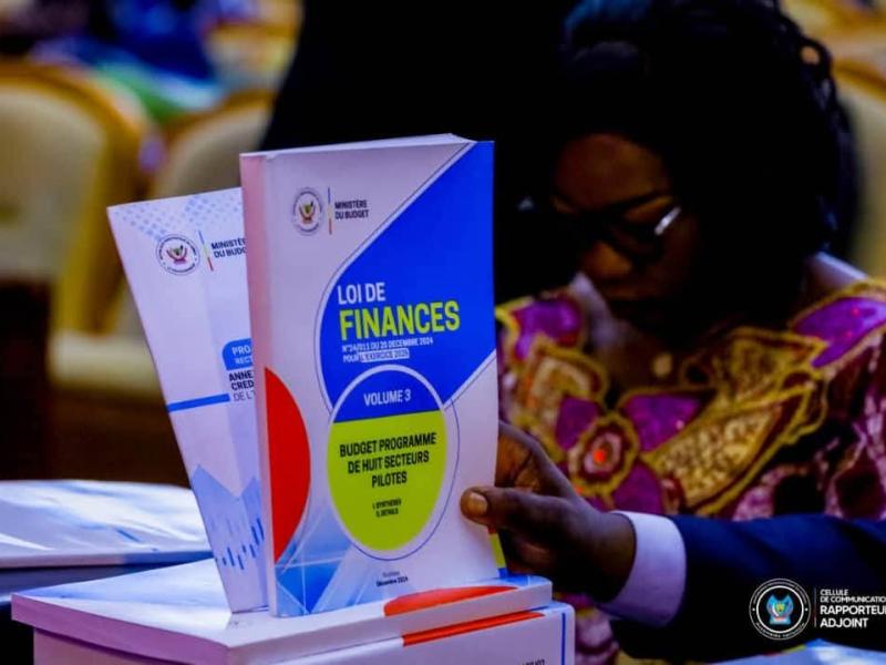 Loi de finances rectificative 2025
