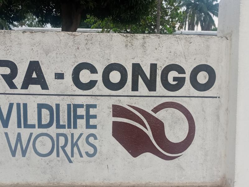 Photo d'illustration