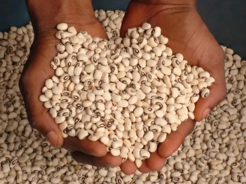 Photo d'illustration