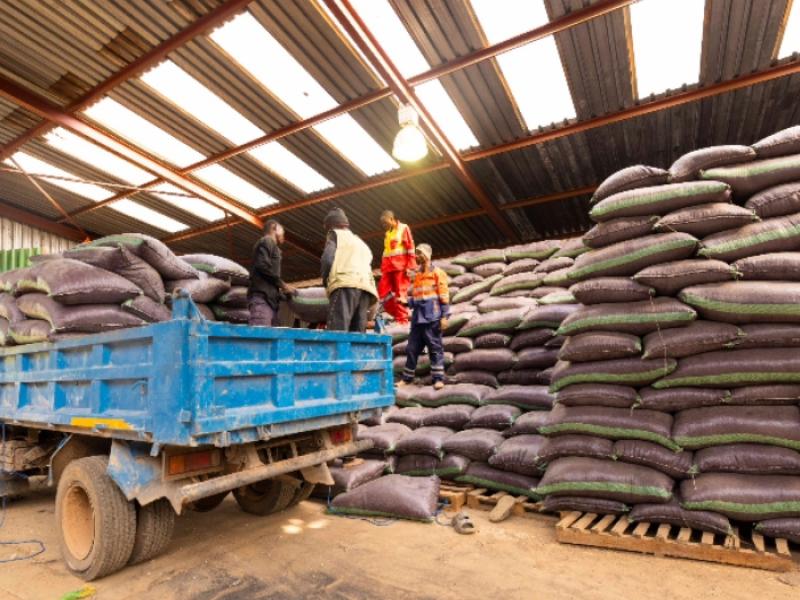 Photo d'illustration