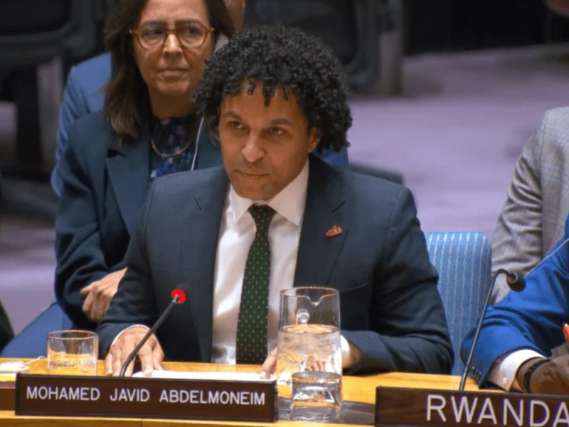 Javid Abdelmoneim, président international de MSF devant le Conseil de sécurité des Nations-unies  © UNTV