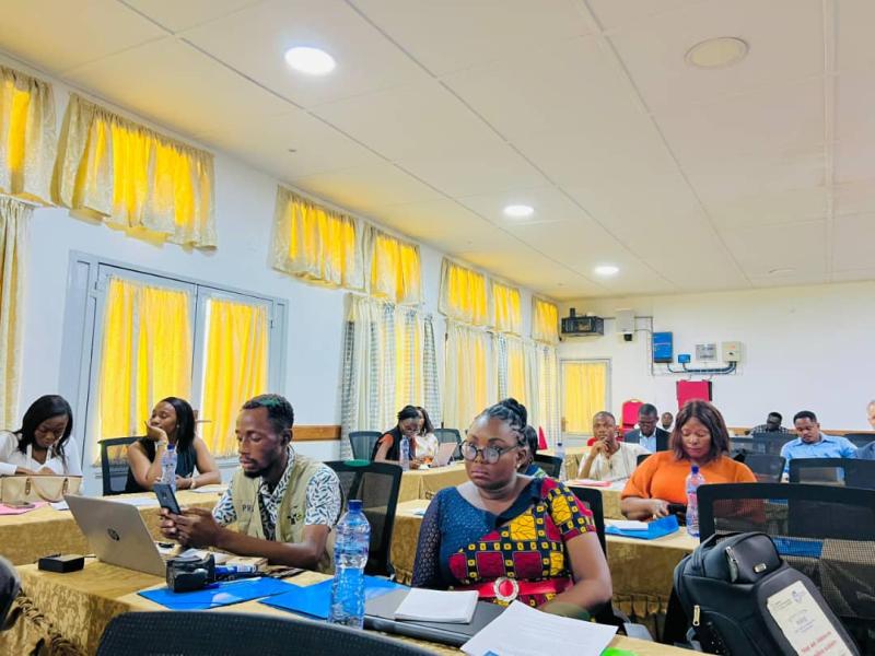 Atelier de partage d'expérience sur les méthodes de suivi citoyen des politiques publiques organisé par le CREFDL et le CNPAV 