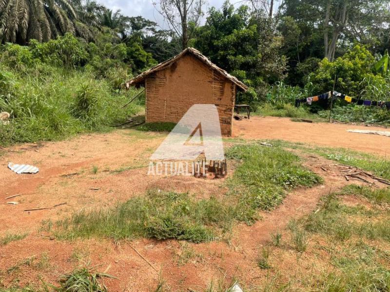 Une case à Butiaba 2, l’ancien QG de Roi des imbéciles, sur l’axe Mambasa-Beni.