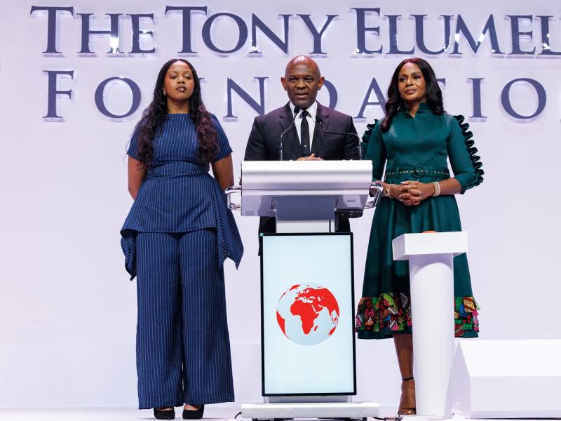 The Tony Elumelu Fondation 