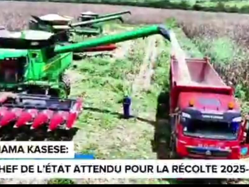 Photo d'illustration