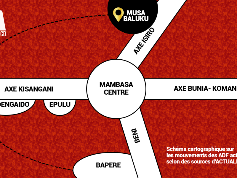 Possible schéma cartographique sur les mouvements des ADF autour de la RFO