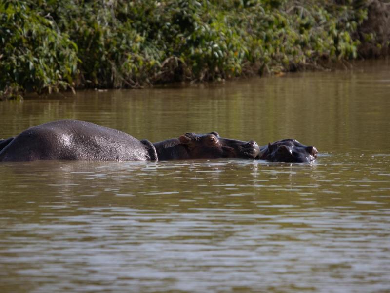 Photo d'illustration