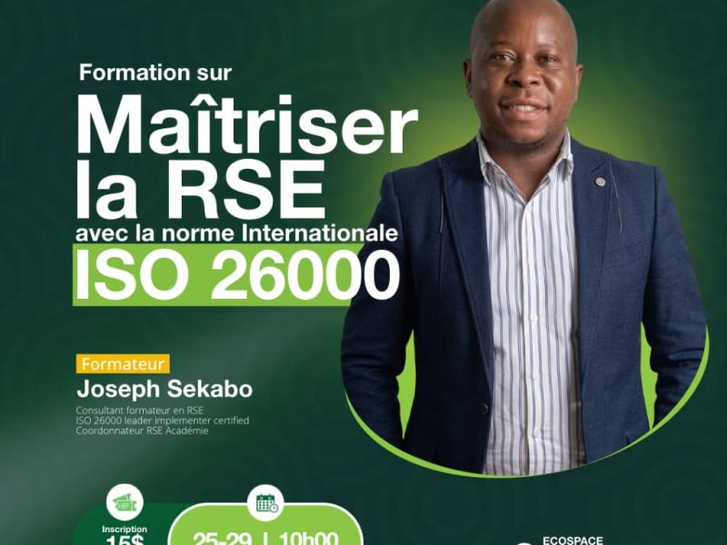 Maîtriser la RSE 