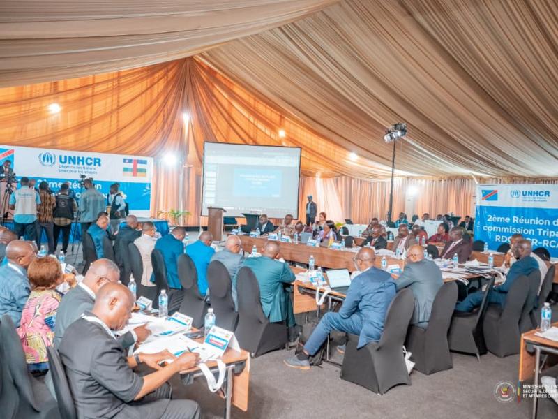 Tripartite RDC-HCR-RCA