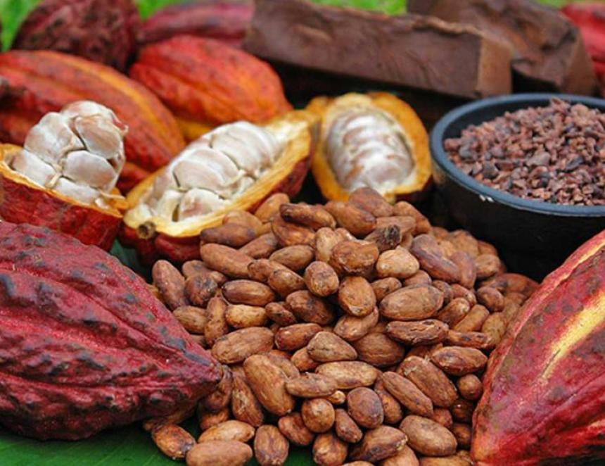 Cacao RDC