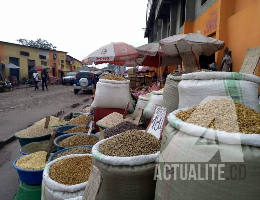Les commerces exercés par les femmes à Kinshasa/Ph ACTUALITE.CD 