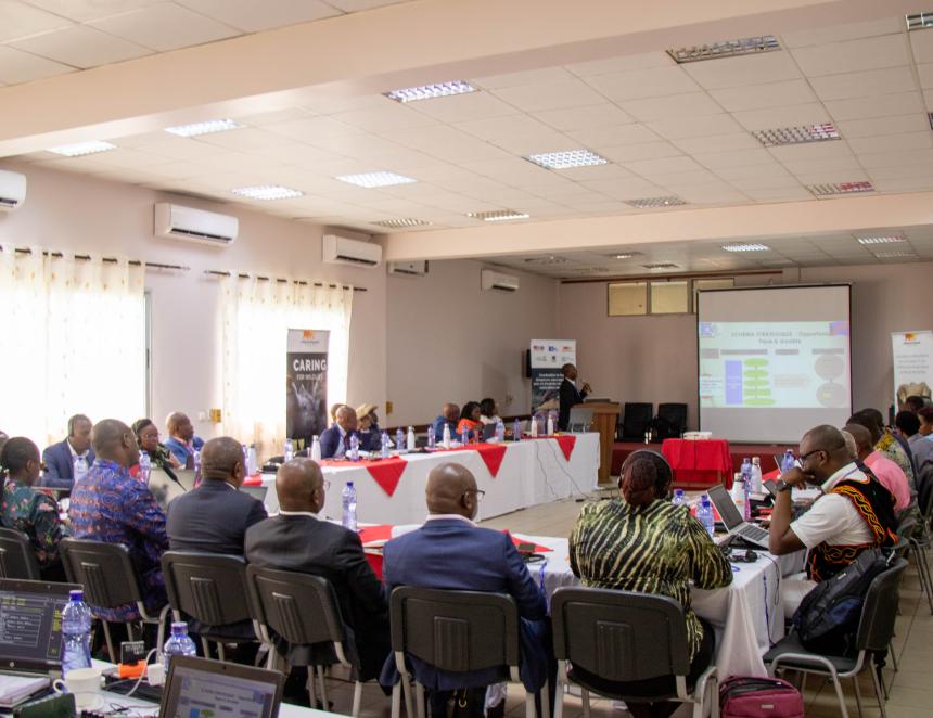 Atelier de lancement du projet "lutte contre le trafic illégal de la faune sauvage, du bois et des autres ressources naturelles en RDC" 