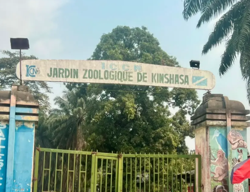 Zoo de Kinshasa