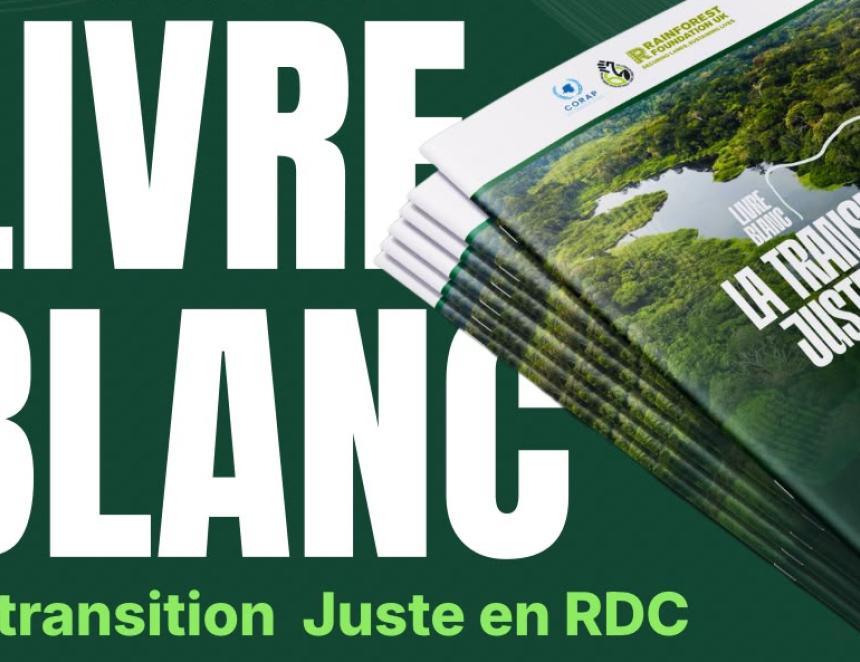Photo d'illustration