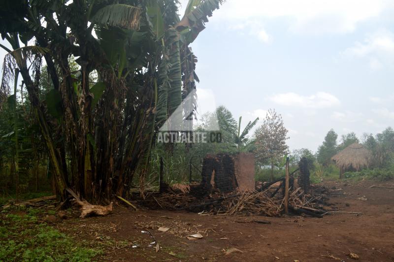 Un village incendié par les miliciens à 10Km de Nizi, Djugu (Photo ACTUALITE.CD) Un village incendié par les miliciens à 10Km de Nizi, Djugu (Photo ACTUALITE.CD)