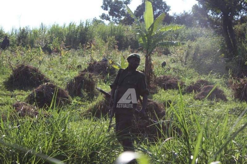 Un militaire au champ de bataille près dans la périphérie de Beni 
