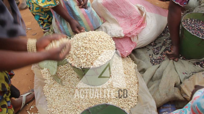 Hausse des prix des biens sur le marché en RDC: moratoire expiré, Sama Lukonde instruit la planification des contrôles économiques pour décourager des pratiques spéculatives et l’application des prix illicites Hausse des prix des biens sur le marché en RDC: moratoire expiré, Sama Lukonde instruit la planification des contrôles économiques pour décourager des pratiques spéculatives et l’application des prix illicites