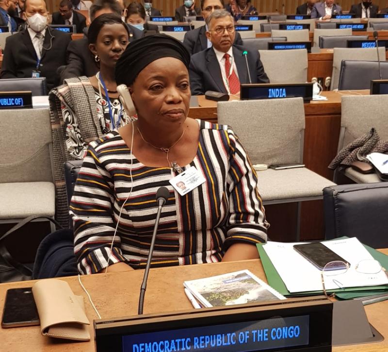 UNFF 17: in New York, Ève Bazaïba praised the DRC’s efforts for efficient governance of its forests