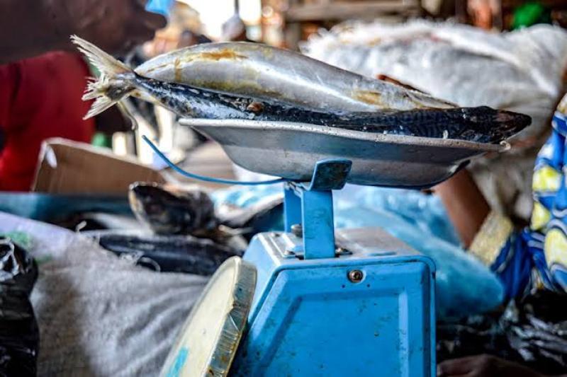 Kinshasa : baisse remarquable des produits surgelés, un carton des cuisses de poulet (10KG) chute de 65 000 FC à 49 000 FC