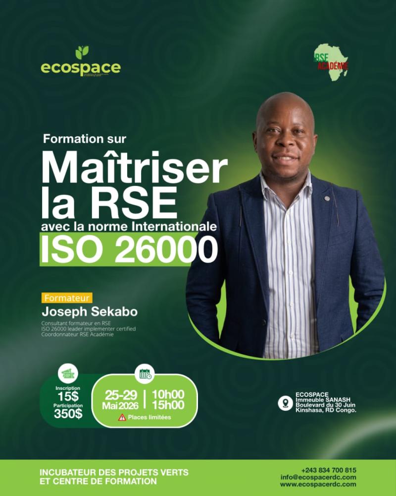 Maîtriser la RSE 