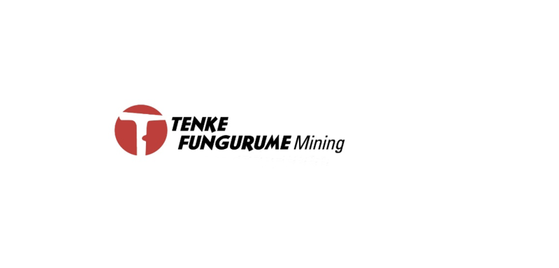 Tenke Fungurume Mining, l