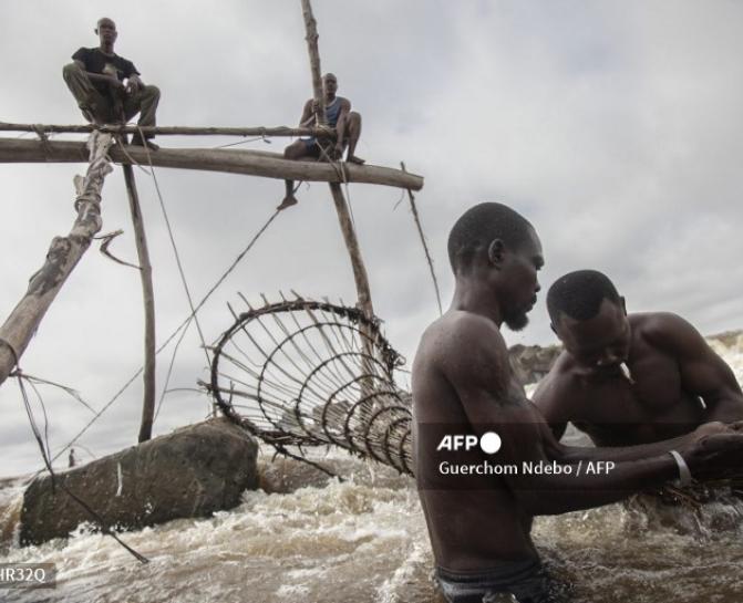 Sur le fleuve Congo, les pêcheurs de la chute Wagenya à Kisangani