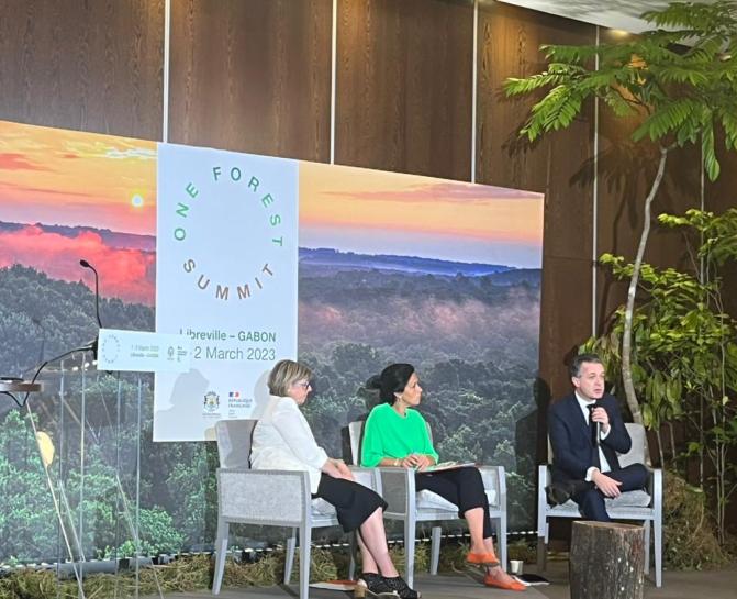 Ouverture du segment ministeriel de One Forest Summit