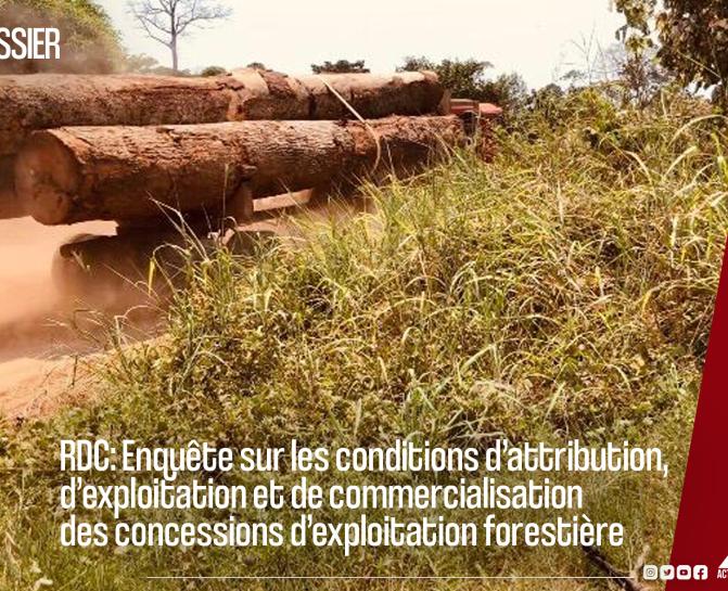 Cet article fait partie d’une série de productions dans le cadre de l’enquête menée sur les conditions d’attribution, d’exploitation et de commercialisation des concessions d’exploitation forestière