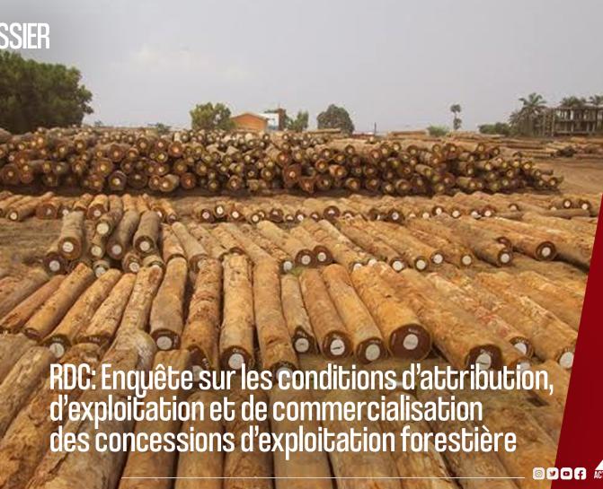 Cet article fait partie d’une série de productions dans le cadre de l’enquête menée sur les conditions d’attribution, d’exploitation et de commercialisation des concessions d’exploitation forestière