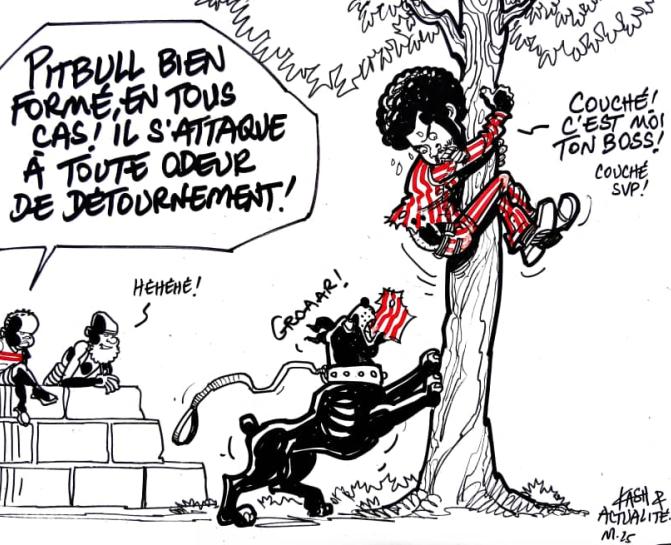 Caricature Kash/ACTUALITE.CD