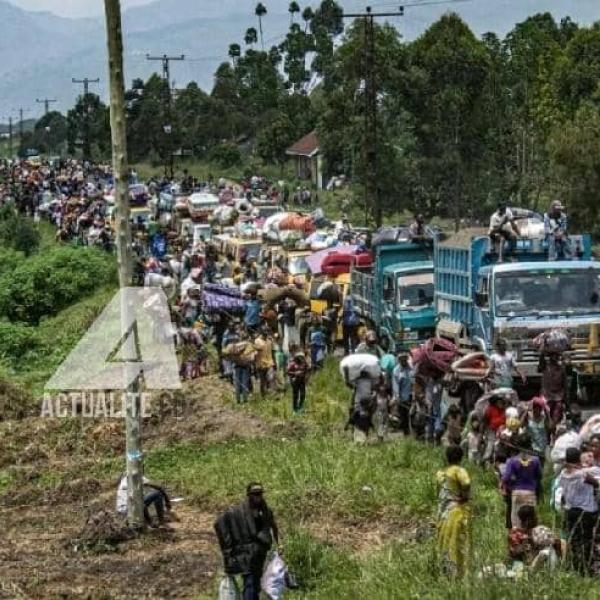 Mouvements des déplacés de Sake vers Goma