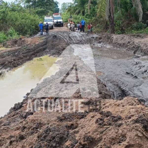 La route Nyunzu-Kongolo dans la province du Tanganyika 