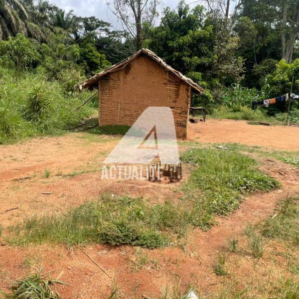 Une case à Butiaba 2, l’ancien QG de Roi des imbéciles, sur l’axe Mambasa-Beni.