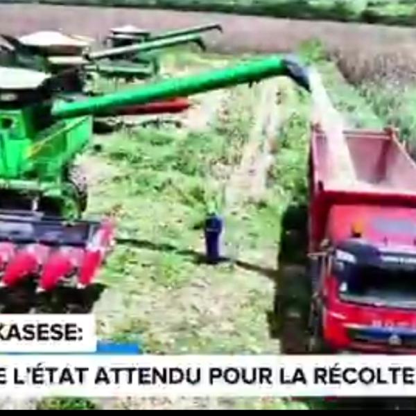 Photo d'illustration