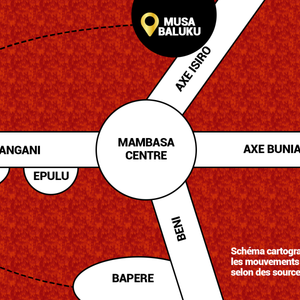 Possible schéma cartographique sur les mouvements des ADF autour de la RFO